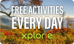 Free Everyday Activites