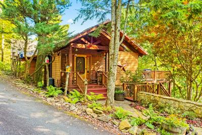 Willow Wood Cabin-Boone, NC